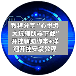 教程分享“心悦填大坑辅助器下载”开挂辅助脚本+详细开挂安装教程-第3张图片