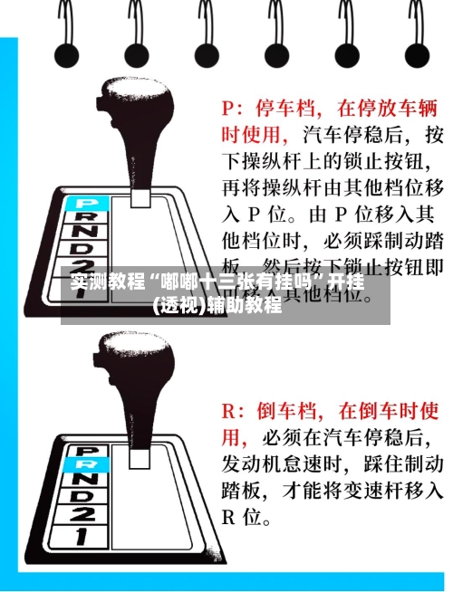 实测教程“嘟嘟十三张有挂吗”开挂(透视)辅助教程-第1张图片