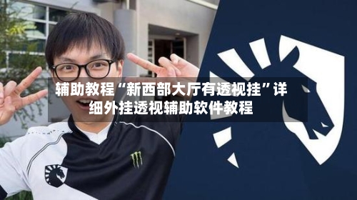 辅助教程“新西部大厅有透视挂	”详细外挂透视辅助软件教程-第1张图片