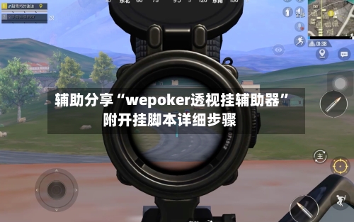 辅助分享“wepoker透视挂辅助器	”附开挂脚本详细步骤-第2张图片