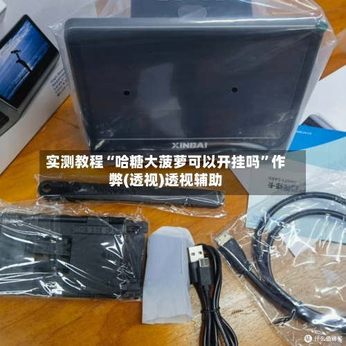 实测教程“哈糖大菠萝可以开挂吗”作弊(透视)透视辅助-第1张图片