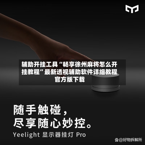 辅助开挂工具“畅享徐州麻将怎么开挂教程”最新透视辅助软件详细教程官方版下载-第3张图片