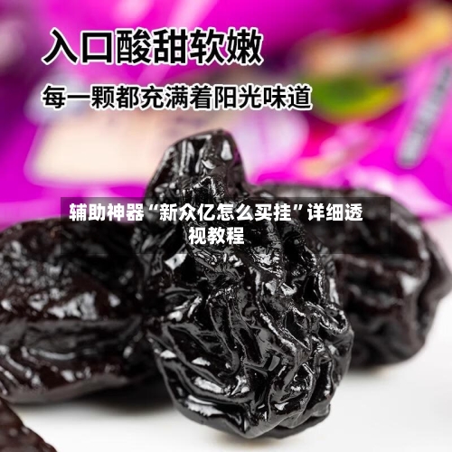 辅助神器“新众亿怎么买挂”详细透视教程-第1张图片