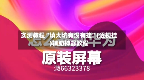 实测教程“填大坑有没有挂	”(透视挂)辅助神器教程-第2张图片