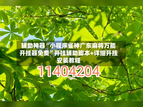 辅助神器“小程序雀神广东麻将万能开挂器免费	”开挂辅助脚本+详细开挂安装教程-第2张图片