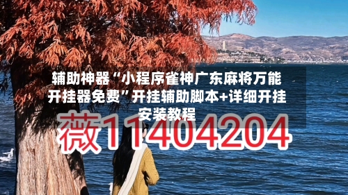辅助神器“小程序雀神广东麻将万能开挂器免费”开挂辅助脚本+详细开挂安装教程-第3张图片