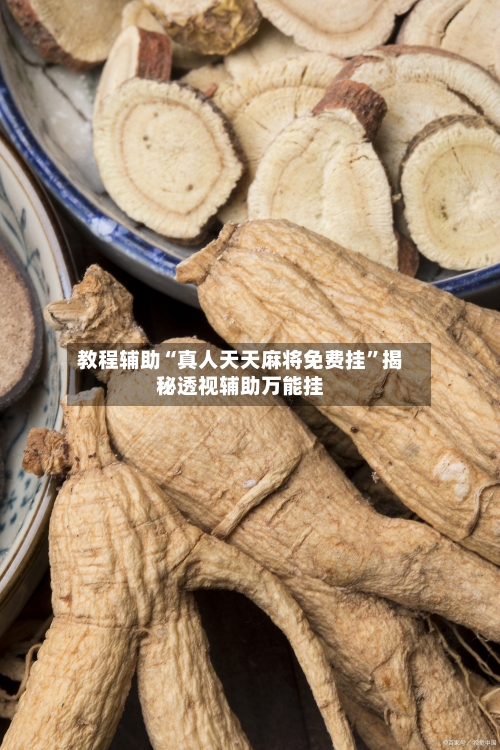 教程辅助“真人天天麻将免费挂”揭秘透视辅助万能挂-第1张图片