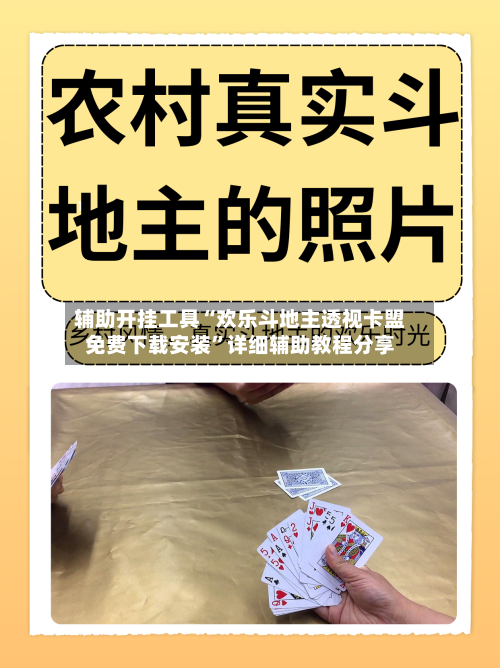 辅助开挂工具“欢乐斗地主透视卡盟免费下载安装”详细辅助教程分享-第1张图片
