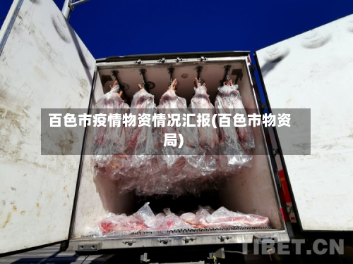 百色市疫情物资情况汇报(百色市物资局)-第1张图片