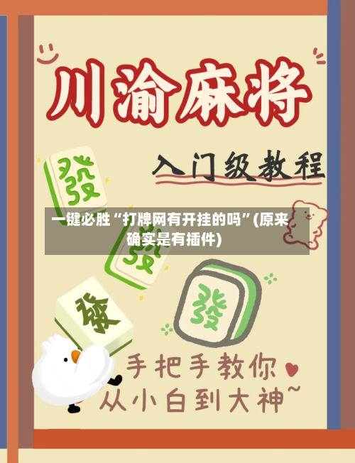 一键必胜“打牌网有开挂的吗”(原来确实是有插件)-第1张图片