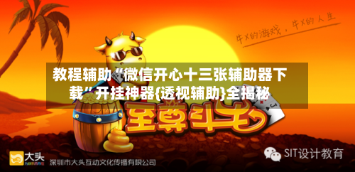 教程辅助“微信开心十三张辅助器下载”开挂神器{透视辅助}全揭秘-第1张图片