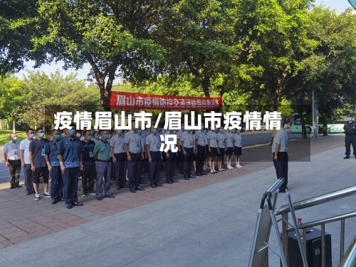 疫情眉山市/眉山市疫情情况-第1张图片