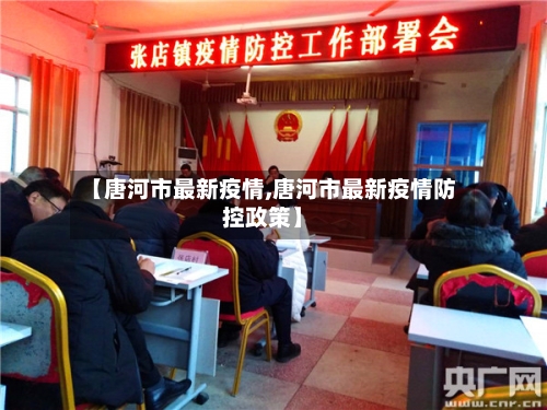 【唐河市最新疫情,唐河市最新疫情防控政策】-第2张图片