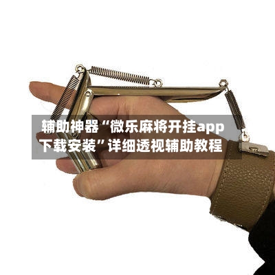 辅助神器“微乐麻将开挂app下载安装	”详细透视辅助教程-第3张图片