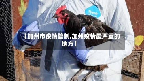 【加州市疫情管制,加州疫情最严重的地方】-第3张图片