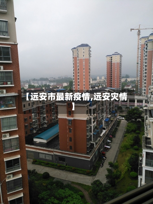 【远安市最新疫情,远安灾情】-第1张图片