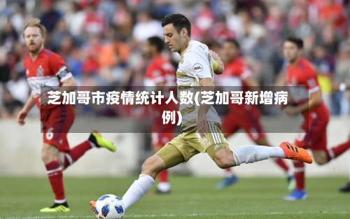 芝加哥市疫情统计人数(芝加哥新增病例)-第3张图片