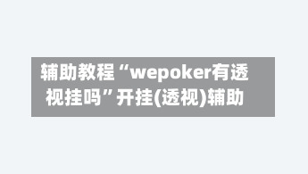 辅助教程“wepoker有透视挂吗”开挂(透视)辅助-第2张图片