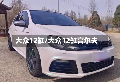 大众12缸/大众12缸高尔夫-第1张图片