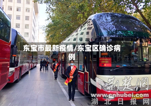 东宝市最新疫情/东宝区确诊病例-第1张图片
