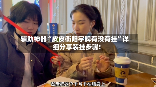 辅助神器“皮皮衡阳字牌有没有挂	”详细分享装挂步骤!-第1张图片