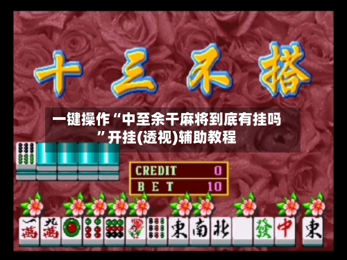 一键操作“中至余干麻将到底有挂吗”开挂(透视)辅助教程-第2张图片