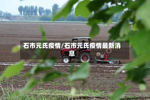石市元氏疫情/石市元氏疫情最新消息-第3张图片