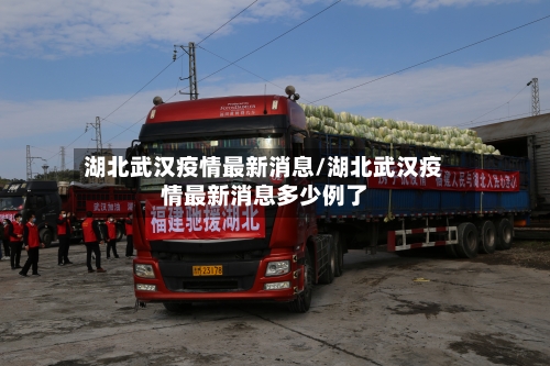 湖北武汉疫情最新消息/湖北武汉疫情最新消息多少例了-第2张图片