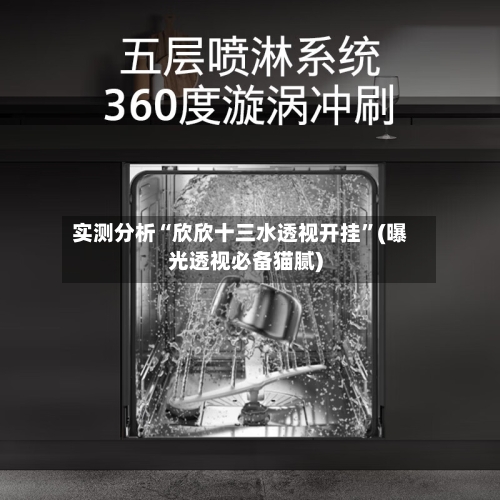 实测分析“欣欣十三水透视开挂”(曝光透视必备猫腻)-第1张图片