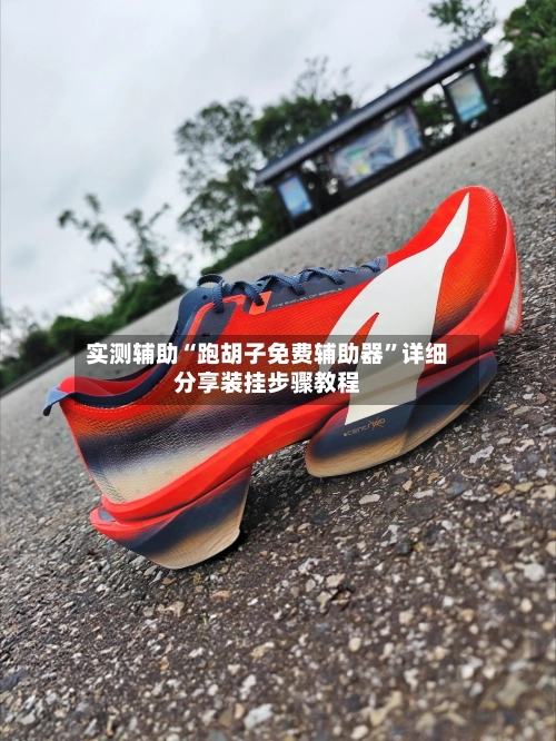 实测辅助“跑胡子免费辅助器”详细分享装挂步骤教程-第2张图片