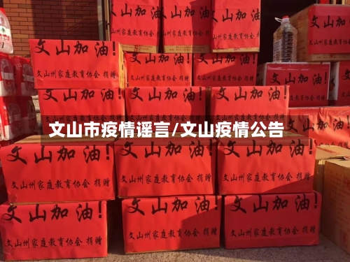 文山市疫情谣言/文山疫情公告-第1张图片
