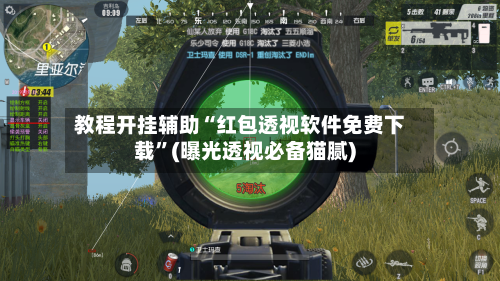 教程开挂辅助“红包透视软件免费下载”(曝光透视必备猫腻)-第3张图片