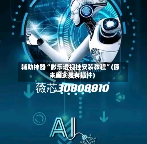 辅助神器“微乐透视挂安装教程”(原来确实是有插件)-第3张图片