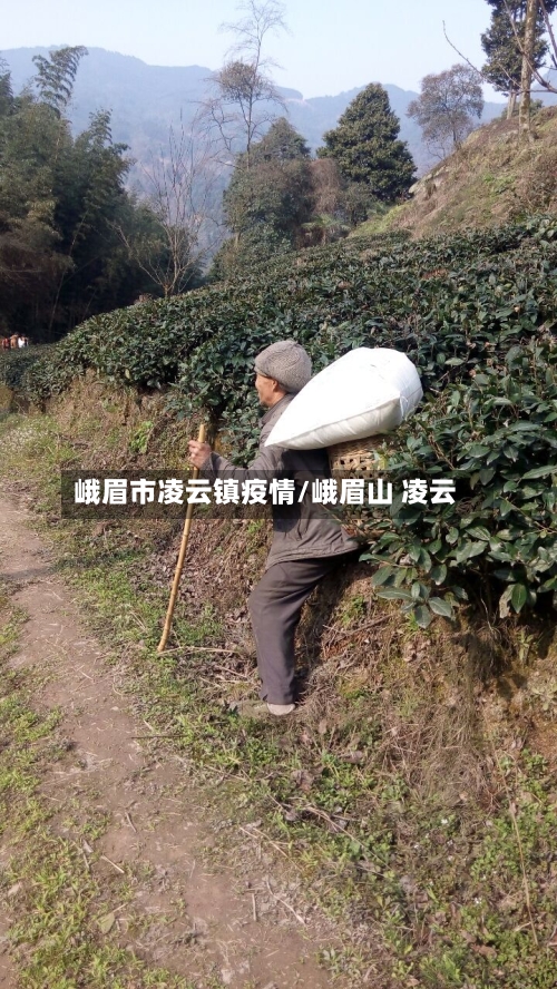 峨眉市凌云镇疫情/峨眉山 凌云-第1张图片