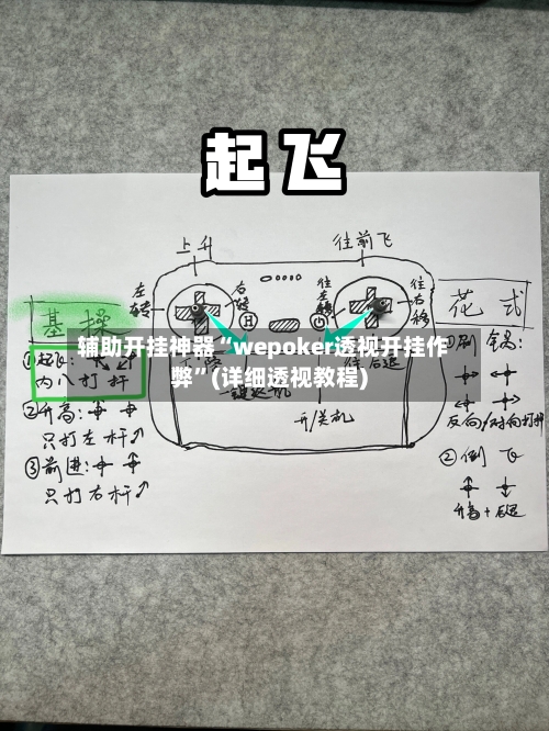 辅助开挂神器“wepoker透视开挂作弊	”(详细透视教程)-第2张图片