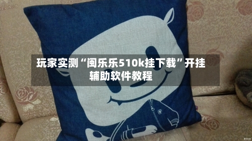 玩家实测“闽乐乐510k挂下载	”开挂辅助软件教程-第2张图片