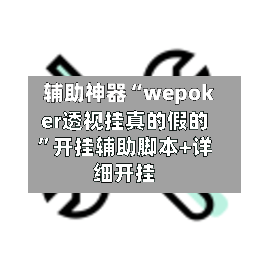 辅助神器“wepoker透视挂真的假的”开挂辅助脚本+详细开挂-第3张图片