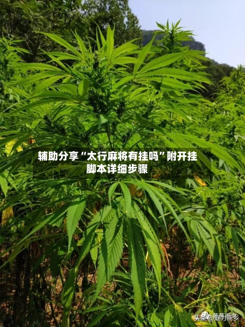 辅助分享“太行麻将有挂吗”附开挂脚本详细步骤-第3张图片