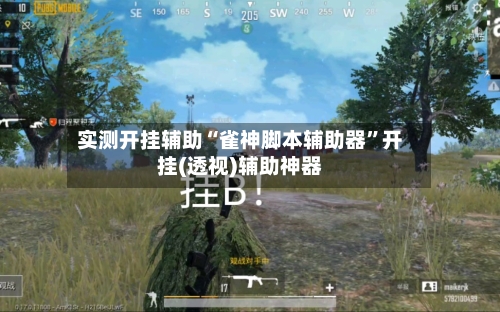 实测开挂辅助“雀神脚本辅助器	”开挂(透视)辅助神器-第3张图片