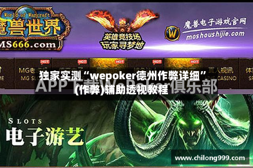 独家实测“wepoker德州作弊详细”(作弊)辅助透视教程-第3张图片