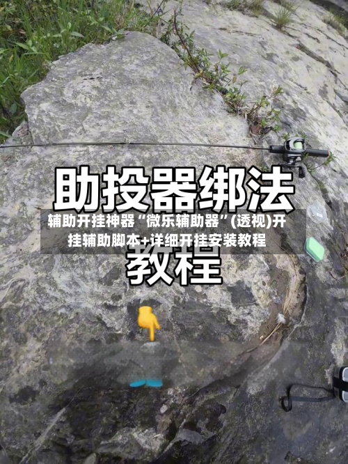 辅助开挂神器“微乐辅助器”(透视)开挂辅助脚本+详细开挂安装教程-第3张图片