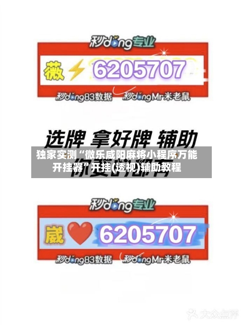 独家实测“微乐咸阳麻将小程序万能开挂器	”开挂(透视)辅助教程-第2张图片