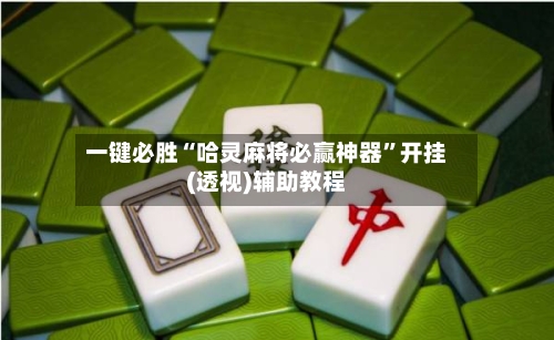 一键必胜“哈灵麻将必赢神器”开挂(透视)辅助教程-第3张图片