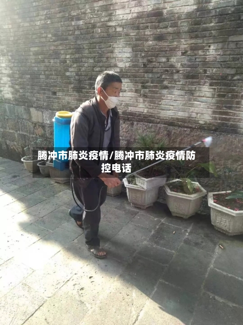 腾冲市肺炎疫情/腾冲市肺炎疫情防控电话-第1张图片