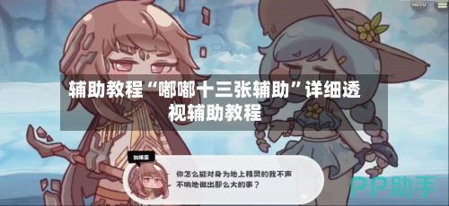 辅助教程“嘟嘟十三张辅助”详细透视辅助教程-第2张图片