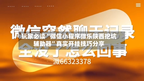 玩家必读“微信小程序微乐陕西挖坑辅助器”真实开挂技巧分享-第2张图片