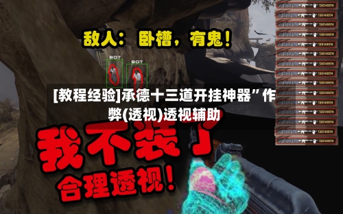 [教程经验]承德十三道开挂神器”作弊(透视)透视辅助-第1张图片