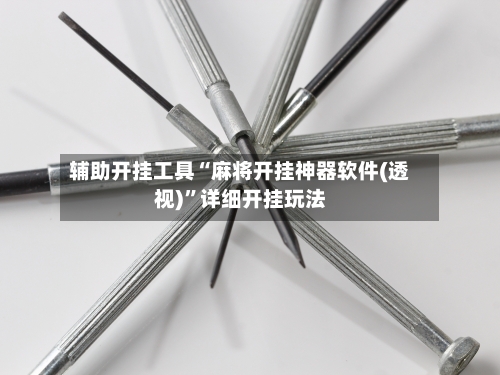 辅助开挂工具“麻将开挂神器软件(透视)”详细开挂玩法-第3张图片