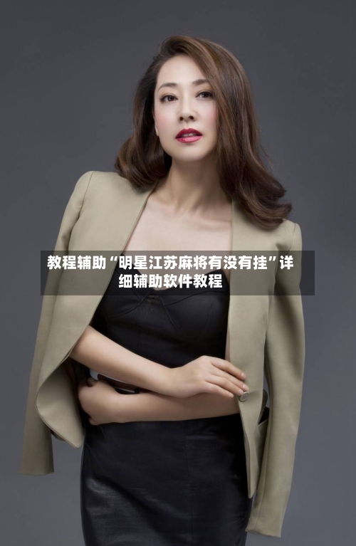 教程辅助“明星江苏麻将有没有挂”详细辅助软件教程-第3张图片