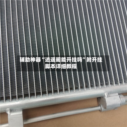 辅助神器“逍遥阁能开挂吗”附开挂脚本详细教程-第2张图片